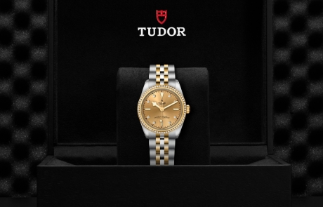 TUDOR BLACK BAY 31/36/39/41 nestled in its presentation box, symbolizing the watch's premium status.