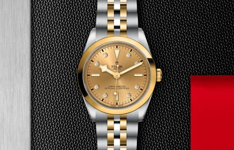 TUDOR BLACK BAY 31/36/39/41 displayed in a flat lay view emphasizing its design and craftsmanship.