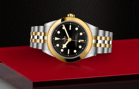 TUDOR BLACK BAY 31/36/39/41 laid down showcasing the black dial and overall elegance.