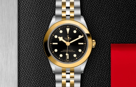 TUDOR BLACK BAY 31/36/39/41 displayed in a flat lay view emphasizing its design and craftsmanship.