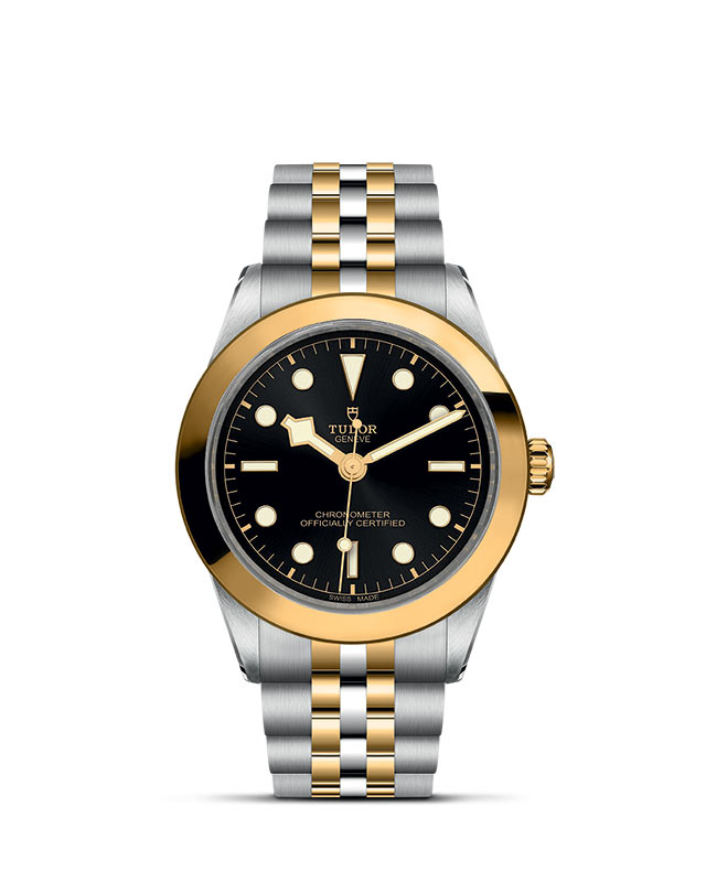 TUDOR BLACK BAY 31/36/39/41 presented upright against a white grid, focusing on its refined aesthetics.