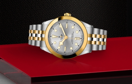 TUDOR BLACK BAY 31/36/39/41 laid down showcasing the silver dial and overall elegance.