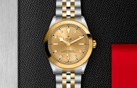 TUDOR BLACK BAY 31/36/39/41 displayed in a flat lay view emphasizing its design and craftsmanship.