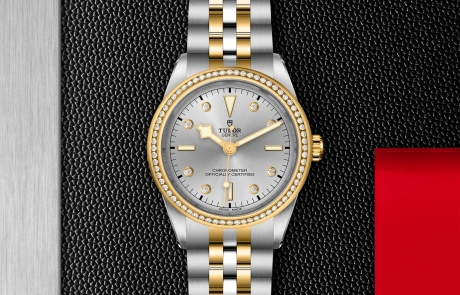 TUDOR BLACK BAY 31/36/39/41 displayed in a flat lay view emphasizing its design and craftsmanship.