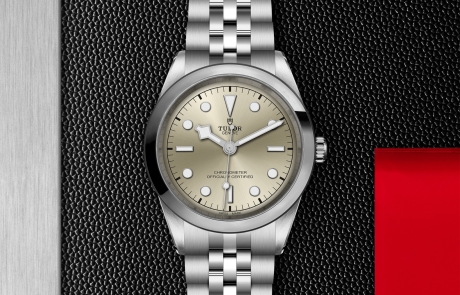 TUDOR BLACK BAY 31/36/39/41 displayed in a flat lay view emphasizing its design and craftsmanship.