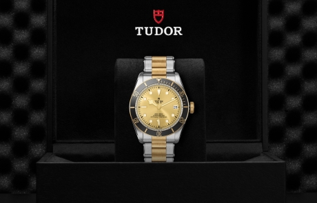 TUDOR BLACK BAY nestled in its presentation box, symbolizing the watch's premium status.