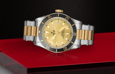 TUDOR BLACK BAY laid down showcasing the champagne-colour, domed dial and overall elegance.