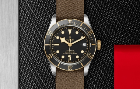 TUDOR BLACK BAY displayed in a flat lay view emphasizing its design and craftsmanship.