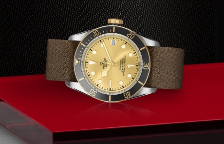 TUDOR BLACK BAY laid down showcasing the champagne-colour, domed dial and overall elegance.