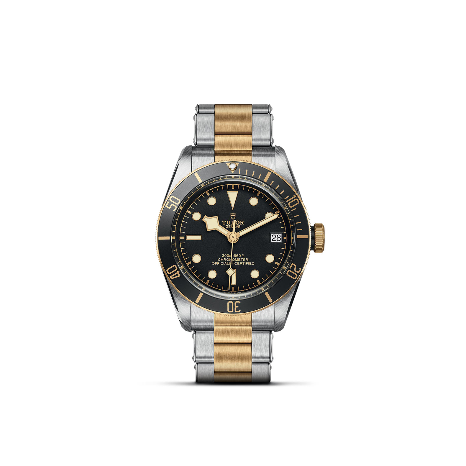 TUDOR BLACK BAY standing upright, highlighting its classic design against a white background.