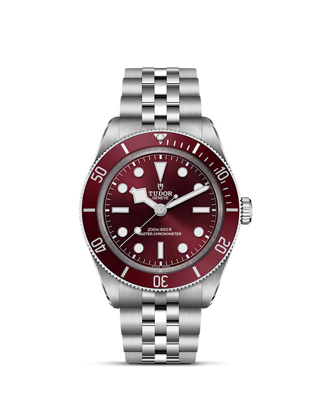 TUDOR BLACK BAY 58 presented upright against a white grid, focusing on its refined aesthetics.